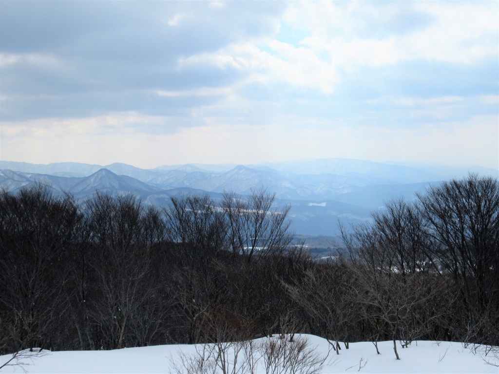 f:id:pft78526:20190225210904j:plain