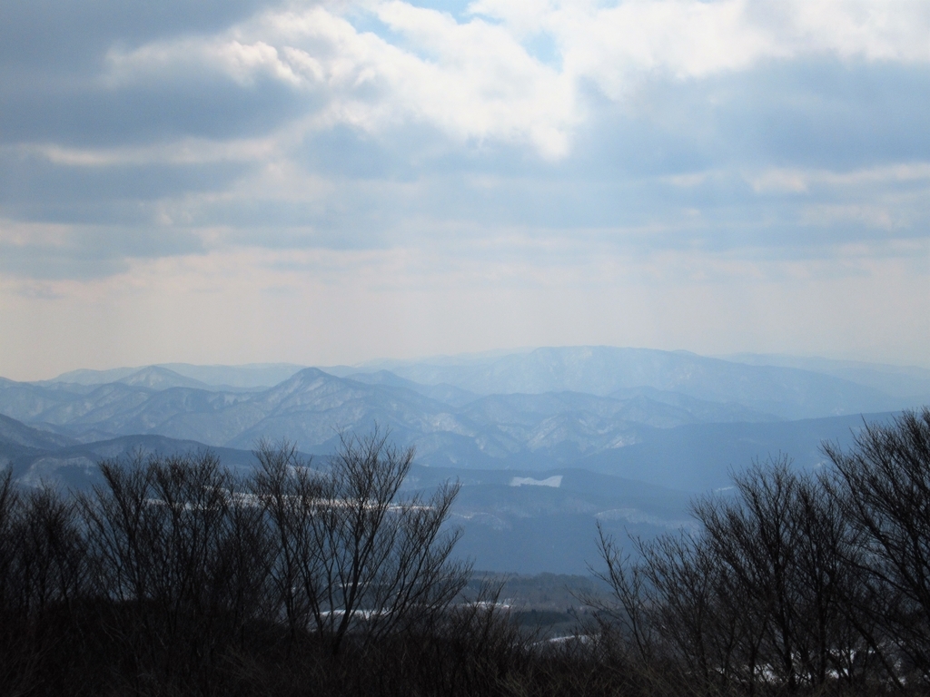 f:id:pft78526:20190225210940j:plain