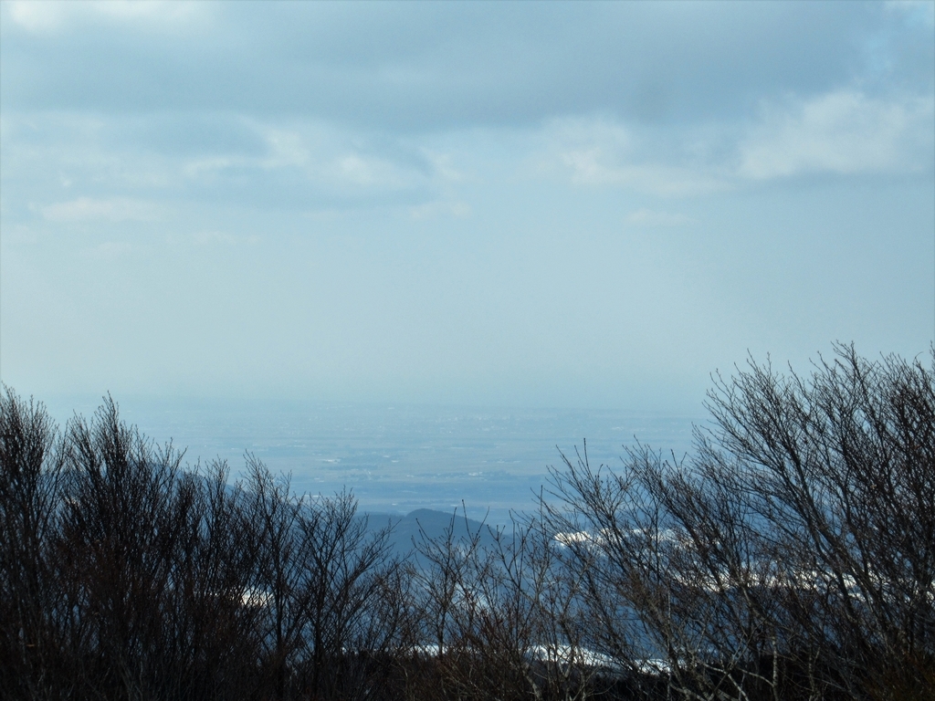 f:id:pft78526:20190225210944j:plain