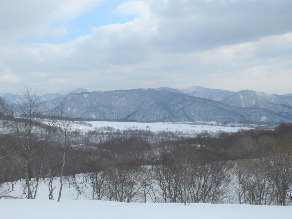 f:id:pft78526:20190225211059j:plain