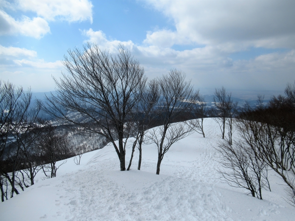 f:id:pft78526:20190225214902j:plain