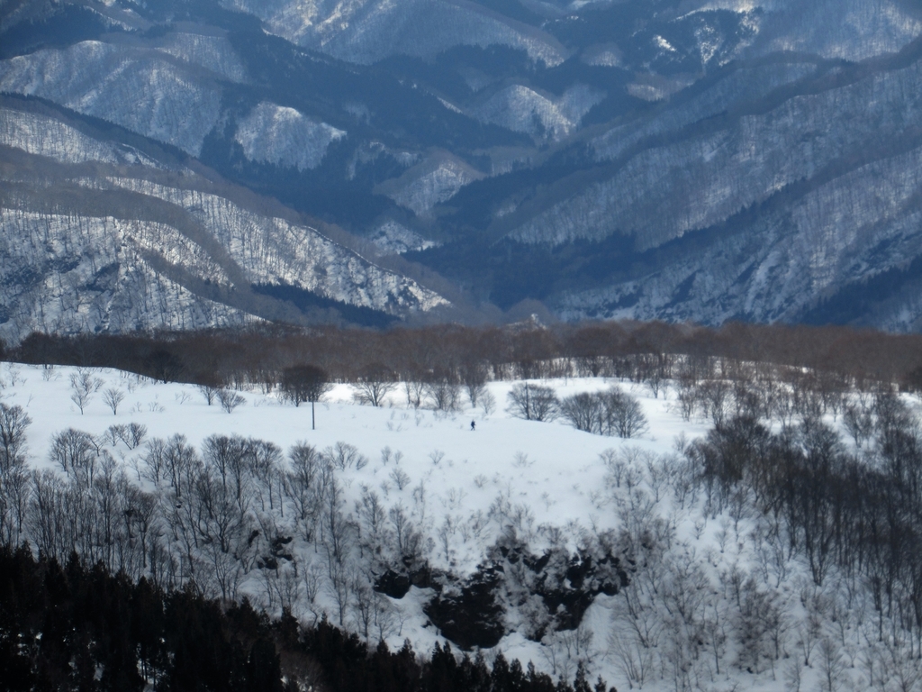 f:id:pft78526:20190225215121j:plain