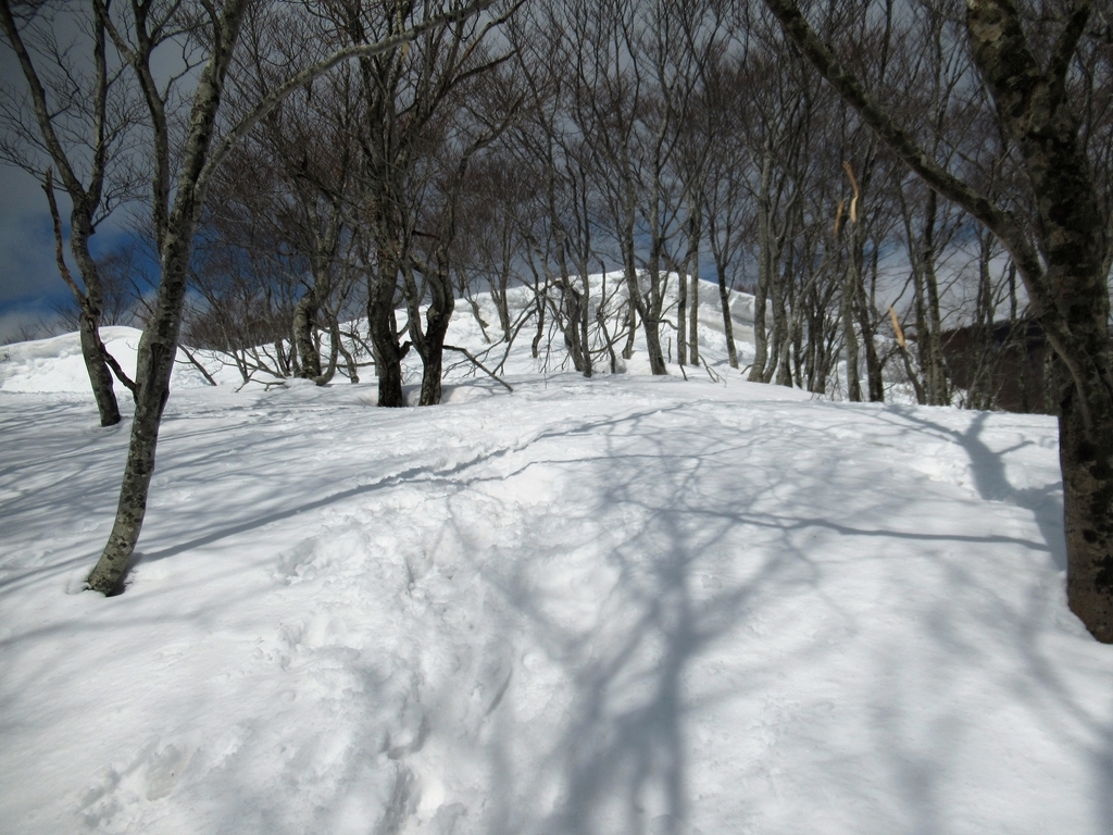 f:id:pft78526:20190225215555j:plain