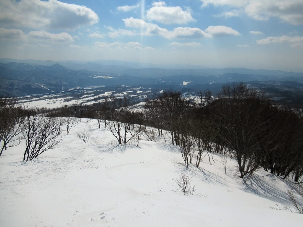 f:id:pft78526:20190225215801j:plain