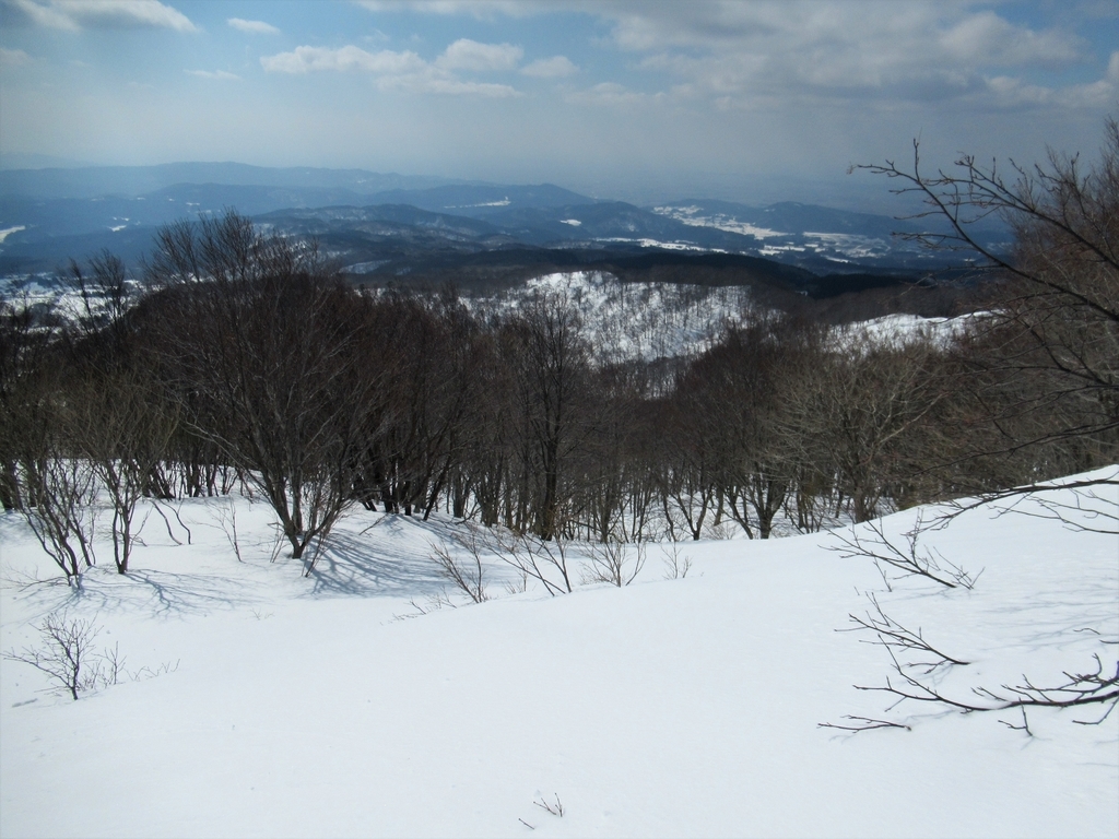 f:id:pft78526:20190225215812j:plain