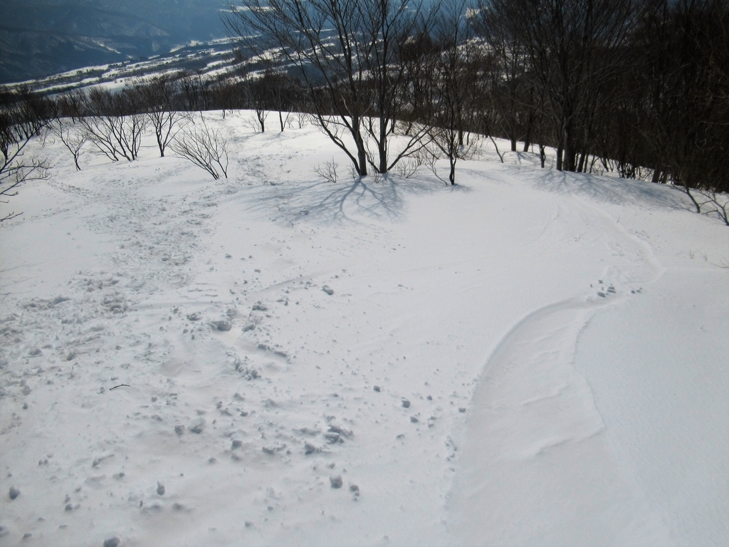 f:id:pft78526:20190225215906j:plain