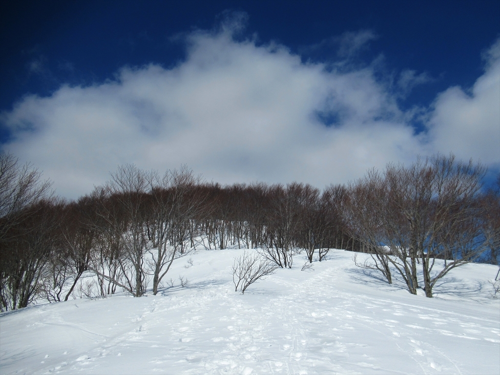 f:id:pft78526:20190225220024j:plain