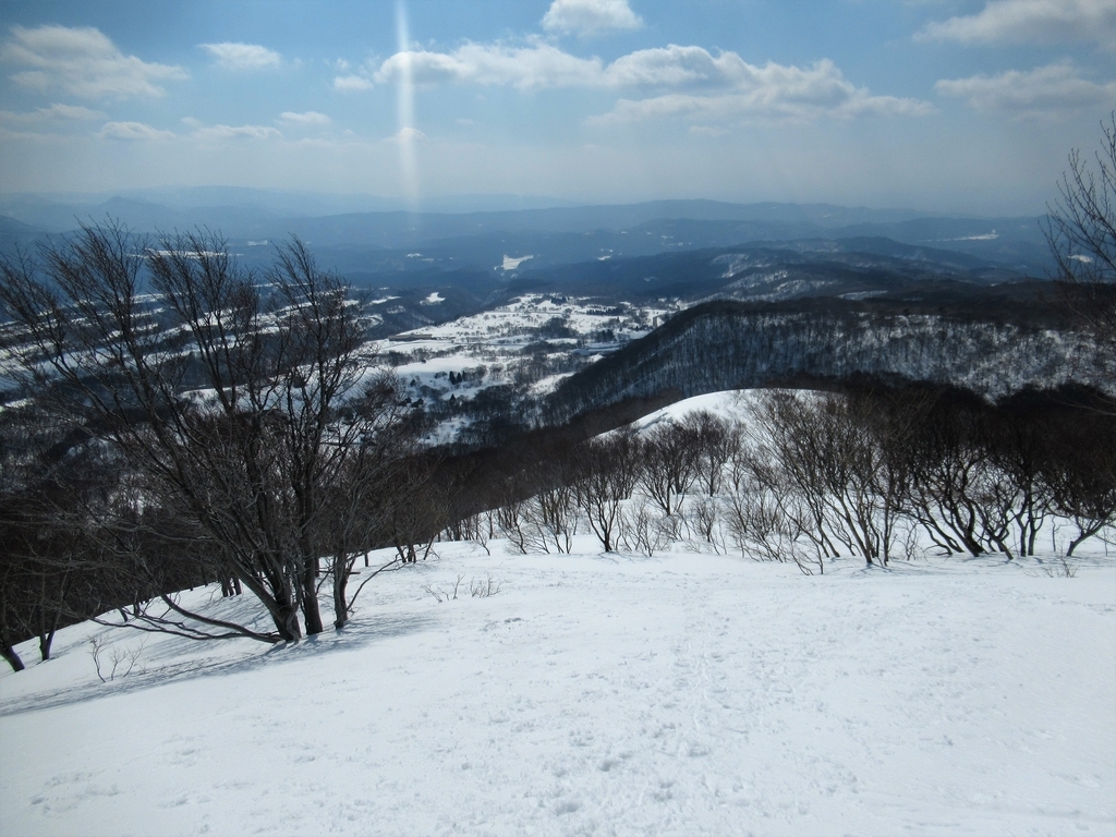 f:id:pft78526:20190225220052j:plain