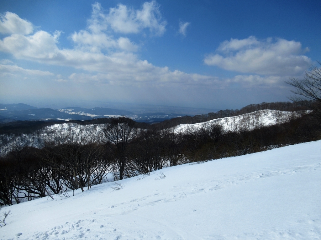 f:id:pft78526:20190225220132j:plain