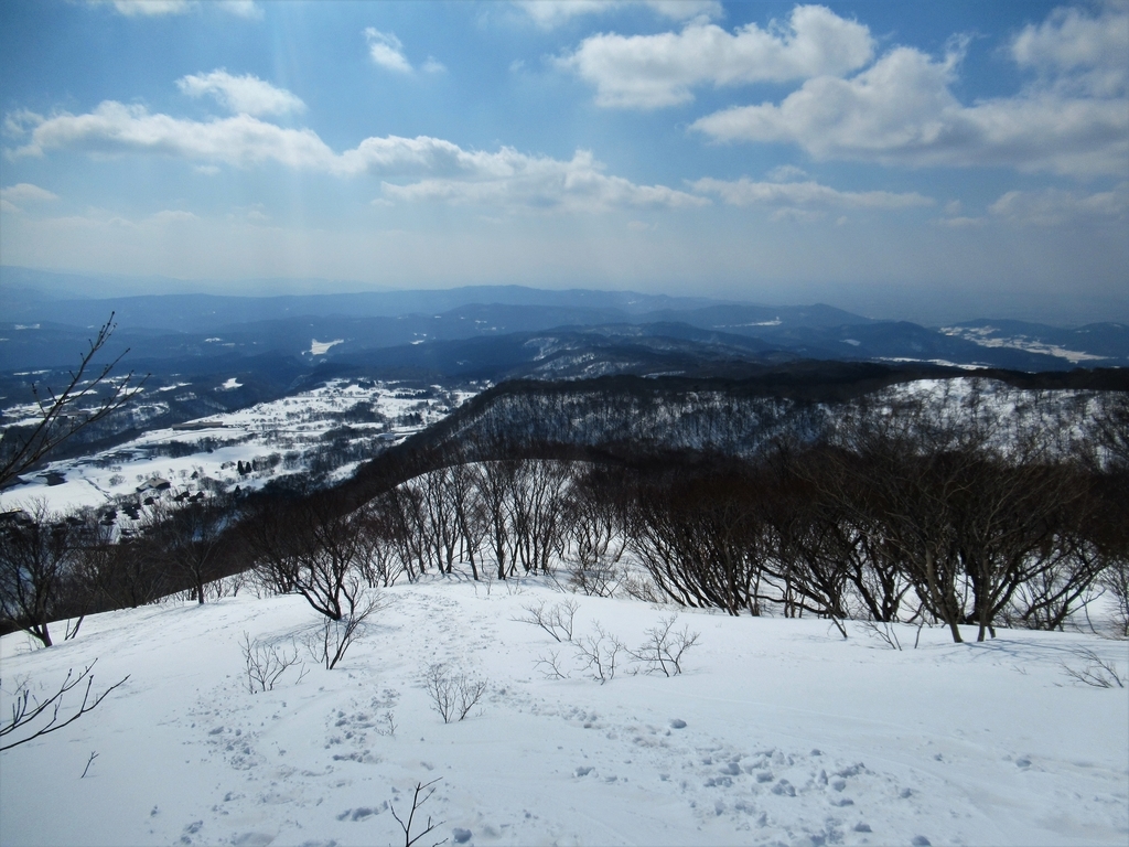 f:id:pft78526:20190225220146j:plain