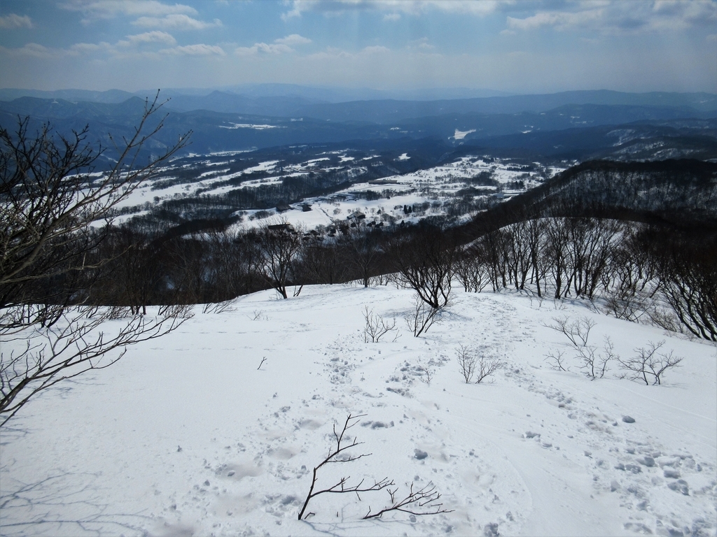 f:id:pft78526:20190225220206j:plain