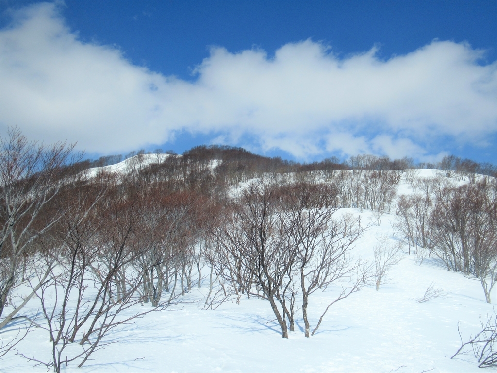 f:id:pft78526:20190225220318j:plain