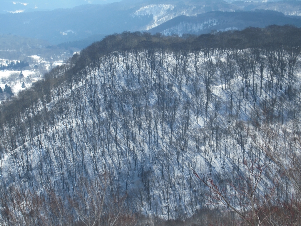 f:id:pft78526:20190225220344j:plain