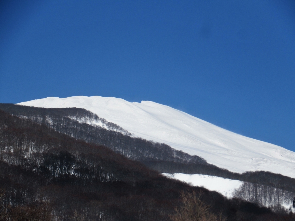 f:id:pft78526:20190225221314j:plain