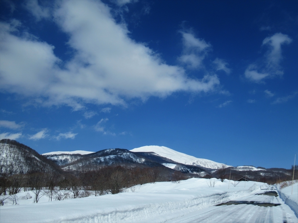 f:id:pft78526:20190225221406j:plain