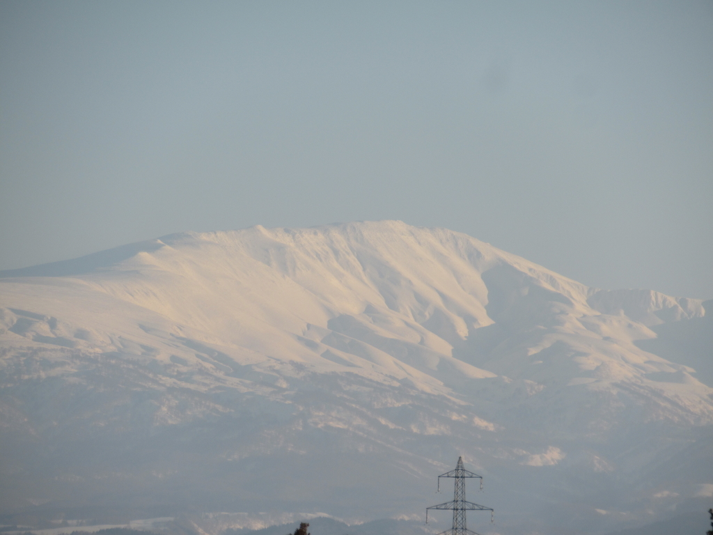 f:id:pft78526:20190227200357j:plain