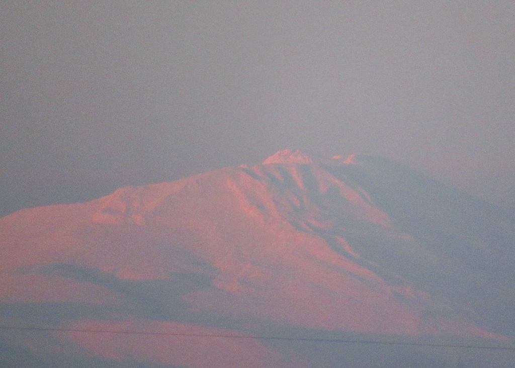 f:id:pft78526:20190227202917j:plain
