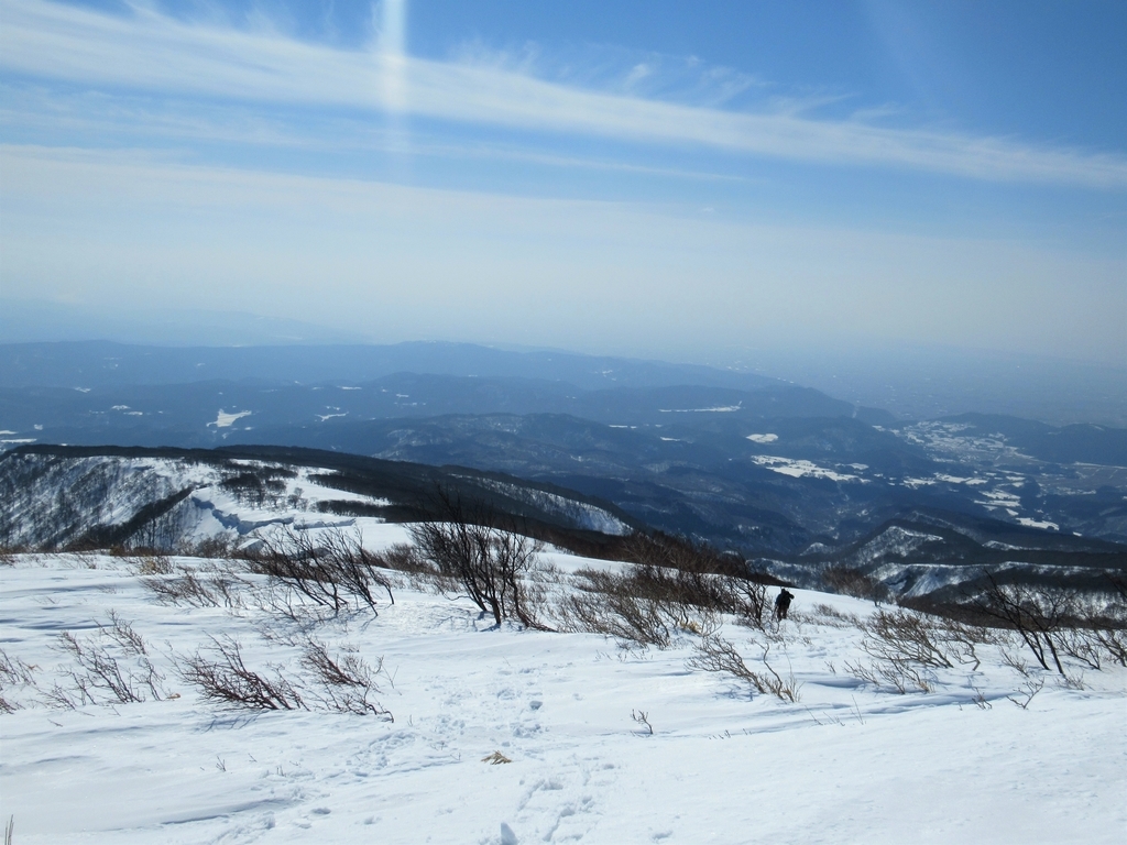 f:id:pft78526:20190304220348j:plain