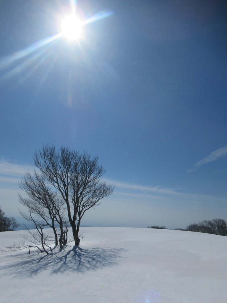 f:id:pft78526:20190304220653j:plain