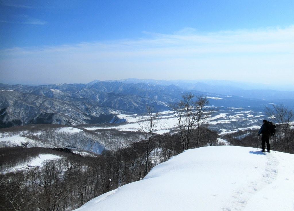 f:id:pft78526:20190304220809j:plain