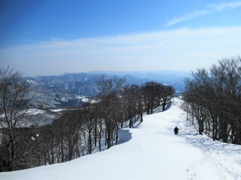 f:id:pft78526:20190304220842j:plain