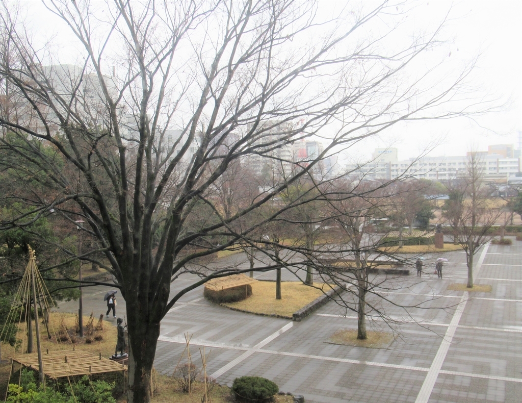f:id:pft78526:20190307185933j:plain f:id:pft78526:20190307185933j:plain