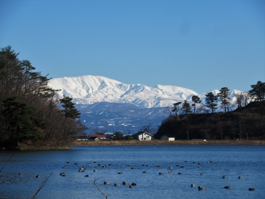 f:id:pft78526:20190310081017j:plain f:id:pft78526:20190310081017j:plain