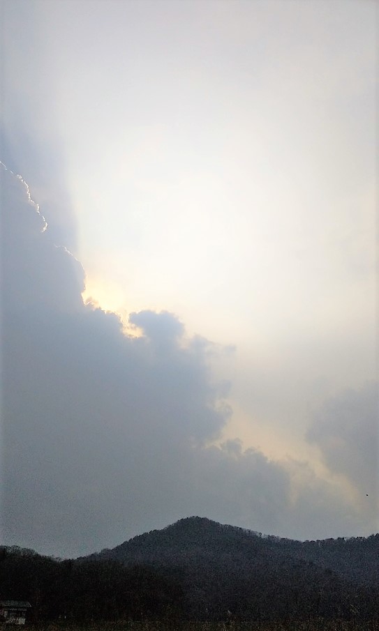 f:id:pft78526:20190328212345j:plain