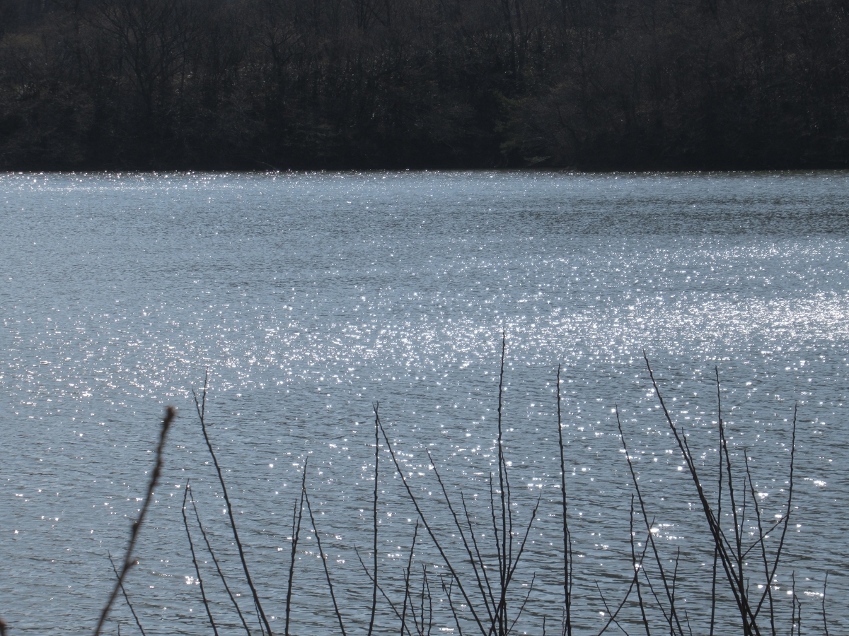 f:id:pft78526:20190330211123j:plain f:id:pft78526:20190330211123j:plain