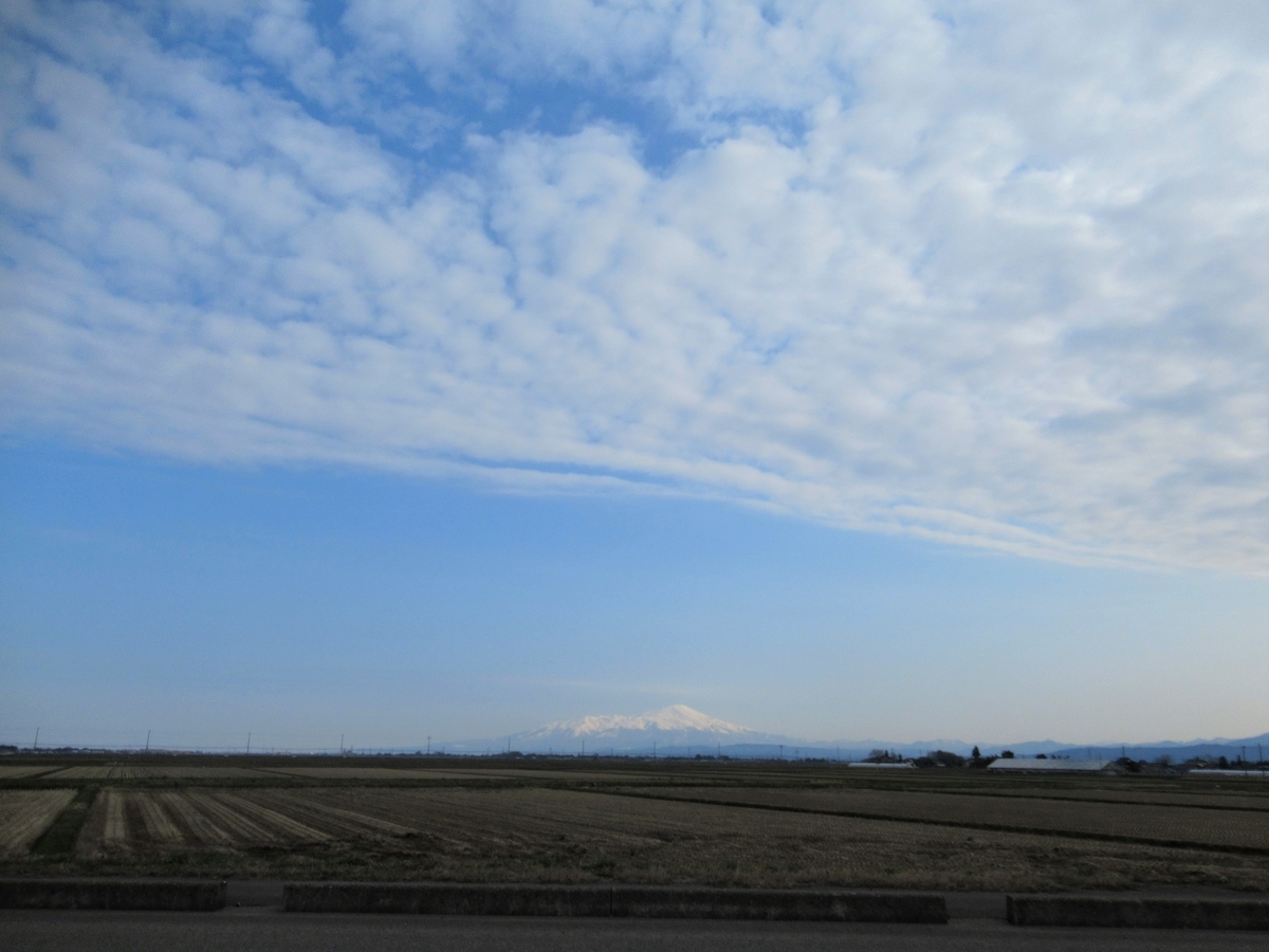 f:id:pft78526:20190331193122j:plain f:id:pft78526:20190331193122j:plain