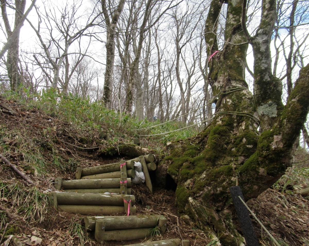 f:id:pft78526:20190418204932j:plain f:id:pft78526:20190418204932j:plain