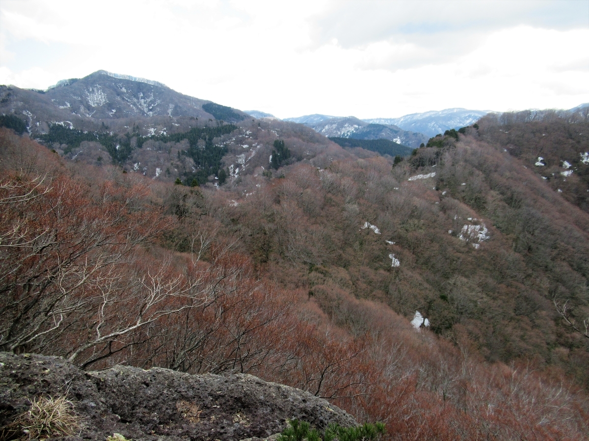 f:id:pft78526:20190418210939j:plain