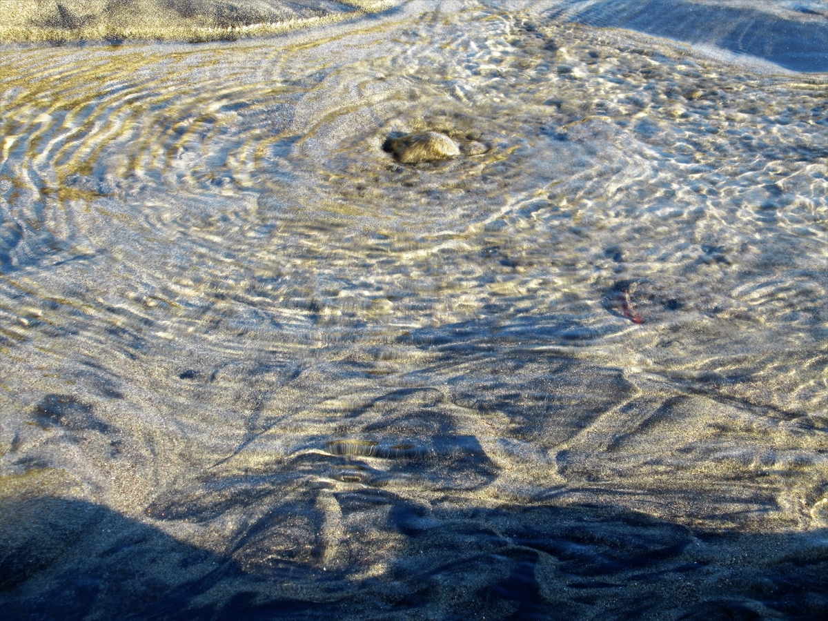 f:id:pft78526:20190422191647j:plain f:id:pft78526:20190422191647j:plain