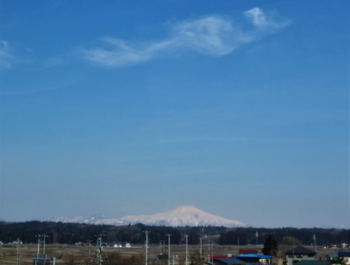 f:id:pft78526:20190425195712j:plain