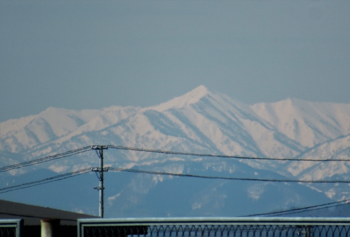 f:id:pft78526:20190425195939j:plain