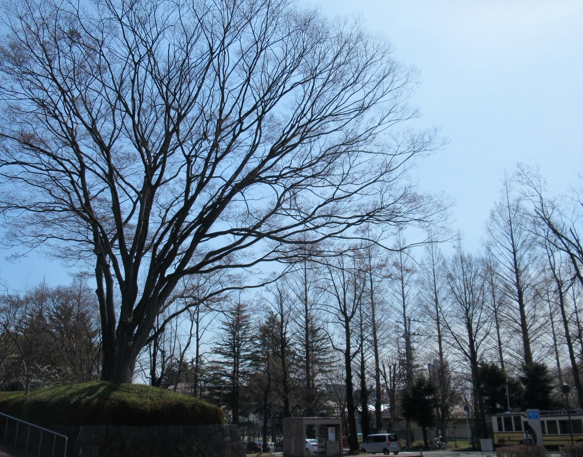 f:id:pft78526:20190425200055j:plain