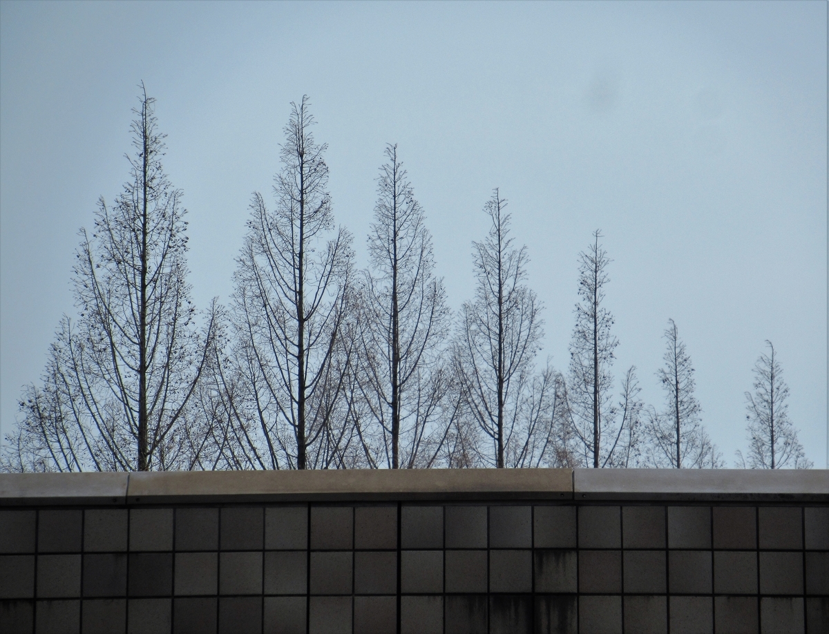 f:id:pft78526:20190425200446j:plain
