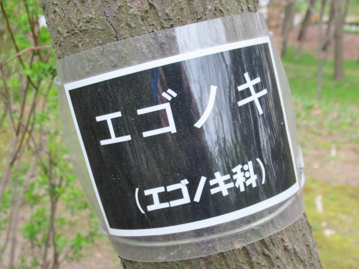 f:id:pft78526:20190427084612j:plain