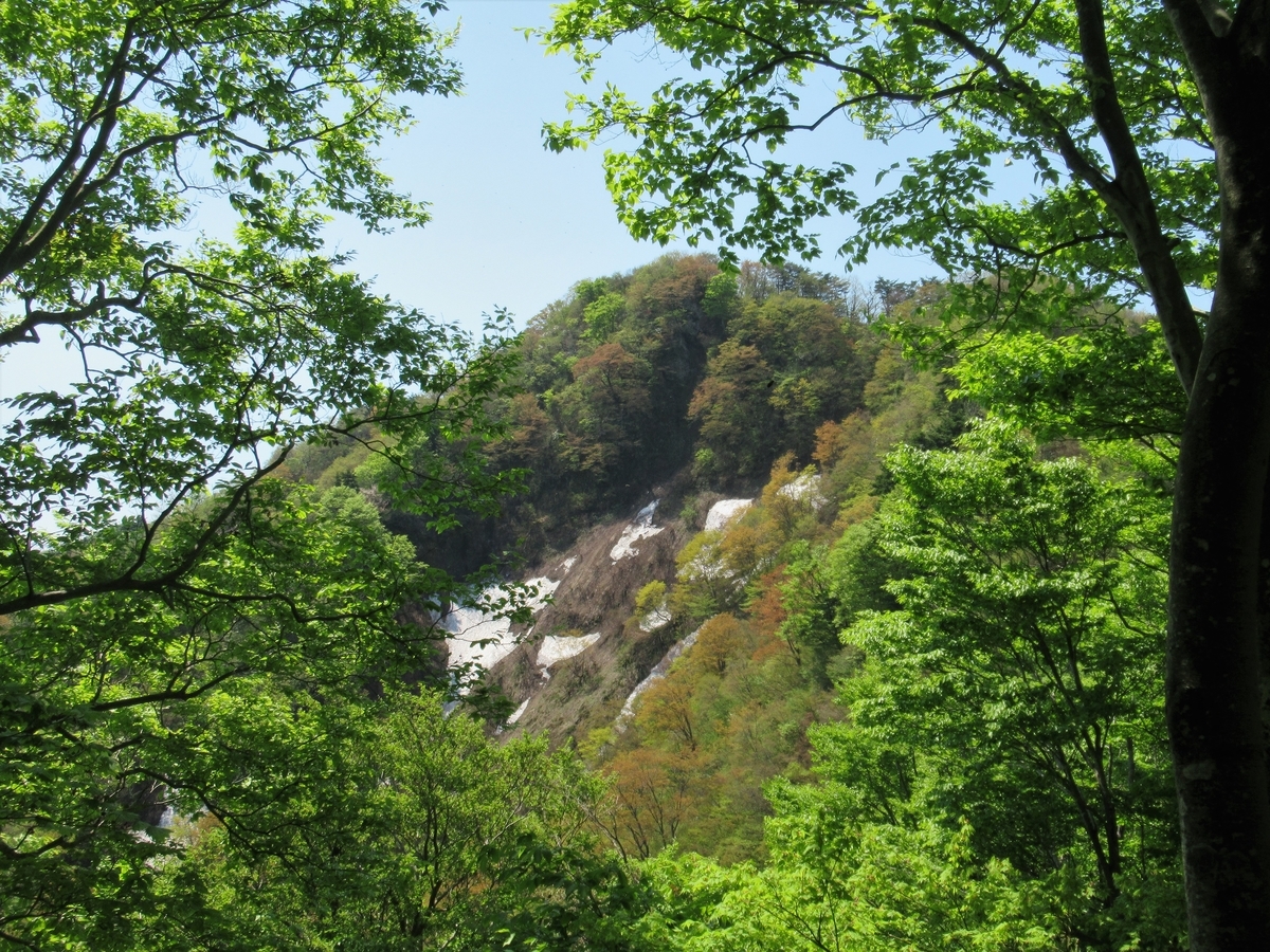 f:id:pft78526:20190515214807j:plain