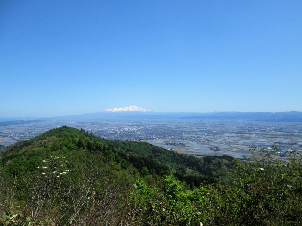 f:id:pft78526:20190515215316j:plain