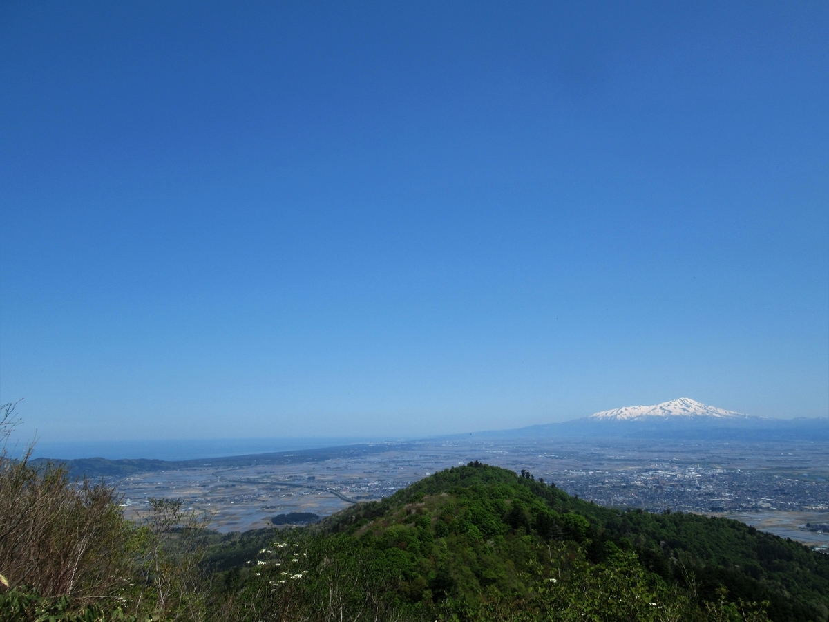 f:id:pft78526:20190515215327j:plain