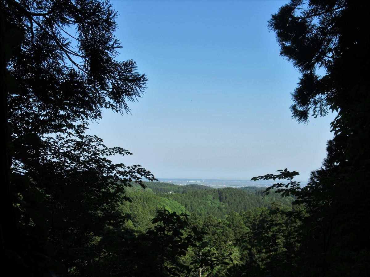 f:id:pft78526:20190603083206j:plain