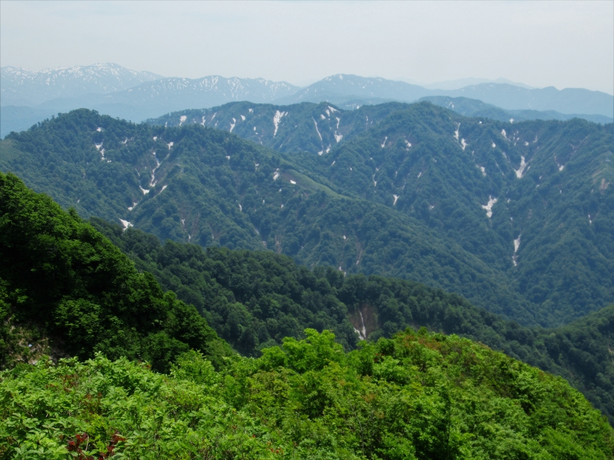 f:id:pft78526:20190604200434j:plain