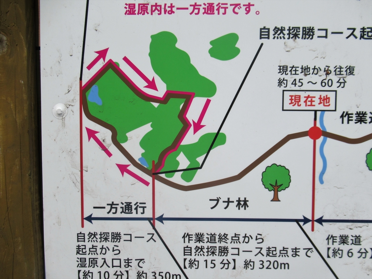 f:id:pft78526:20190607202440j:plain