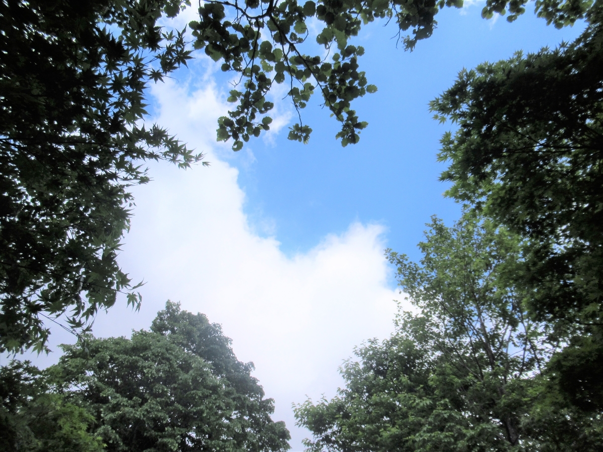 f:id:pft78526:20190608060015j:plain