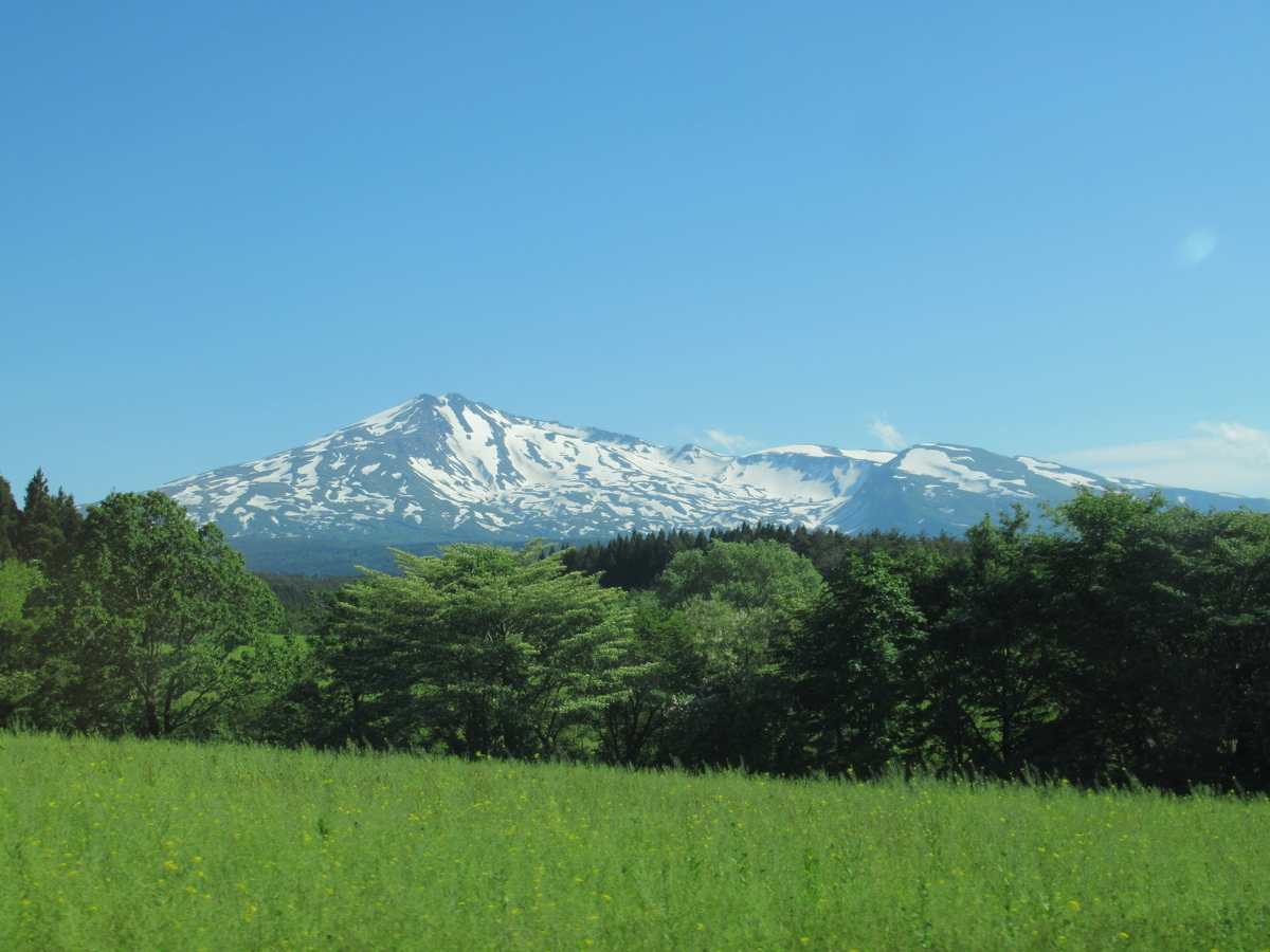 f:id:pft78526:20190608215327j:plain