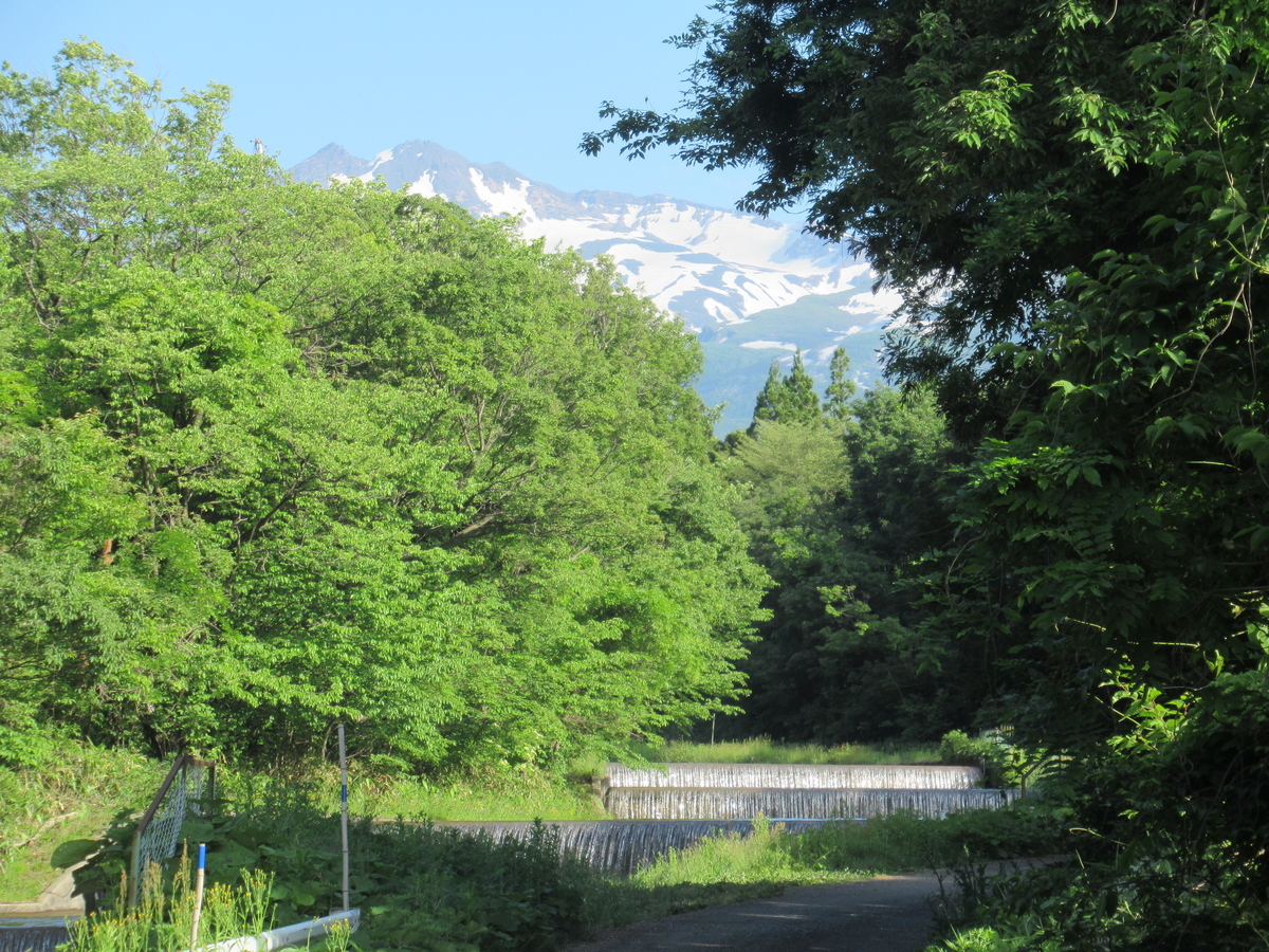 f:id:pft78526:20190609100747j:plain