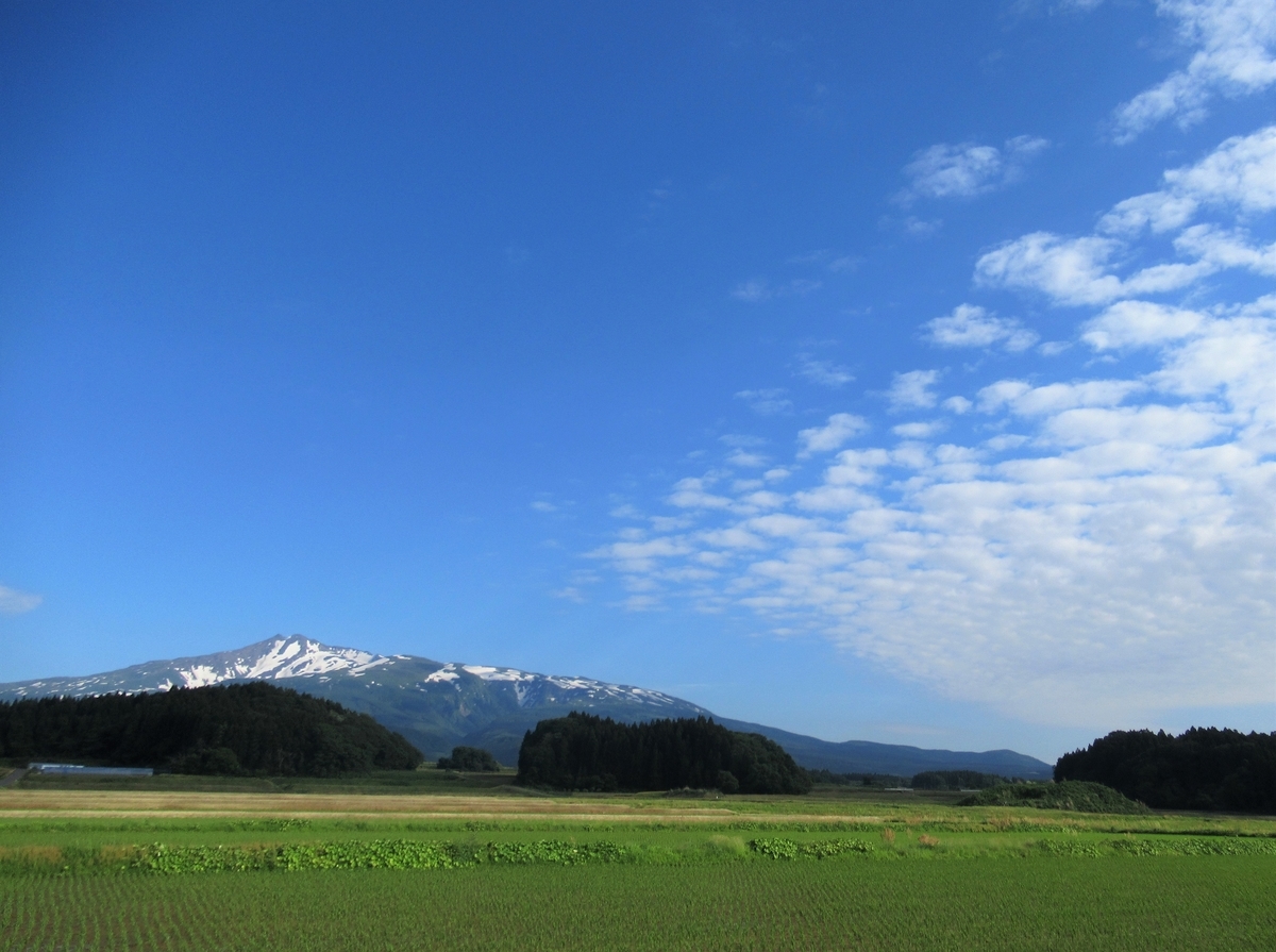 f:id:pft78526:20190609100905j:plain