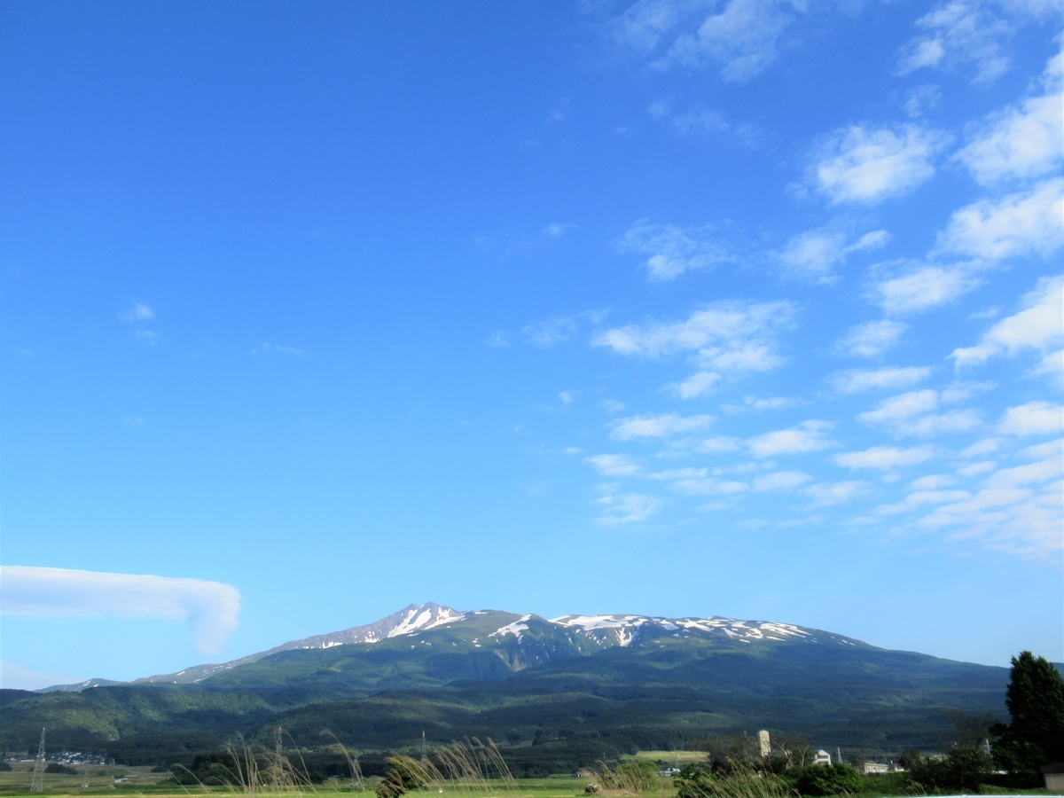 f:id:pft78526:20190609101537j:plain