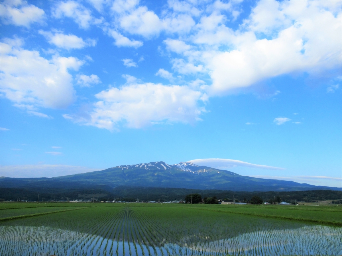 f:id:pft78526:20190609102321j:plain